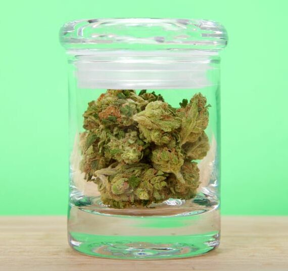 Eighth Jar of Cannabis Flower