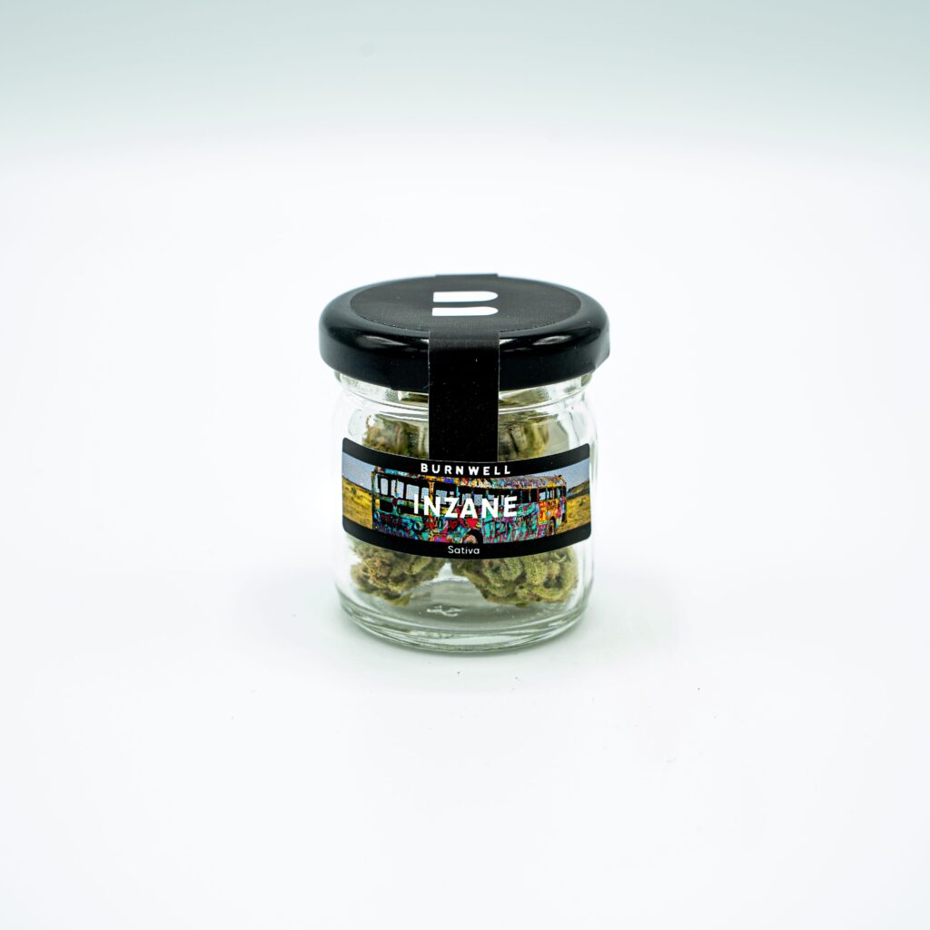 inzane cannabis strain from burnwell