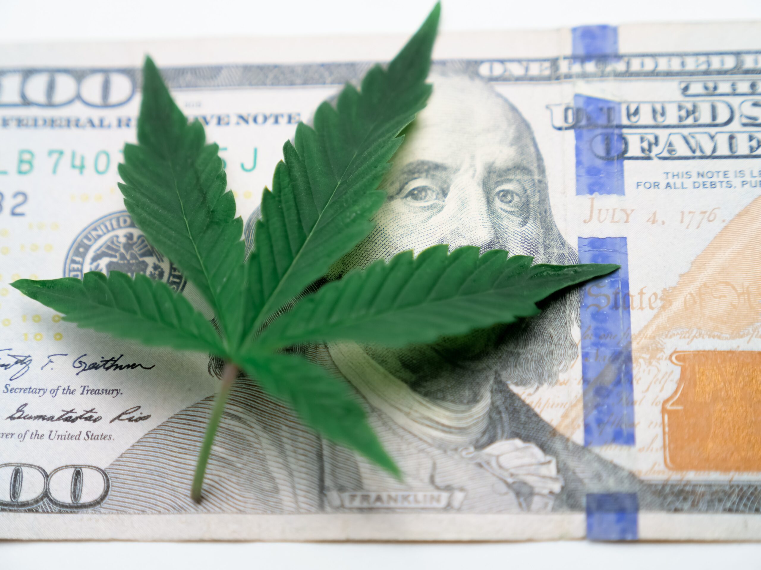 Marijuana Leaf on 100 Dollar Bill