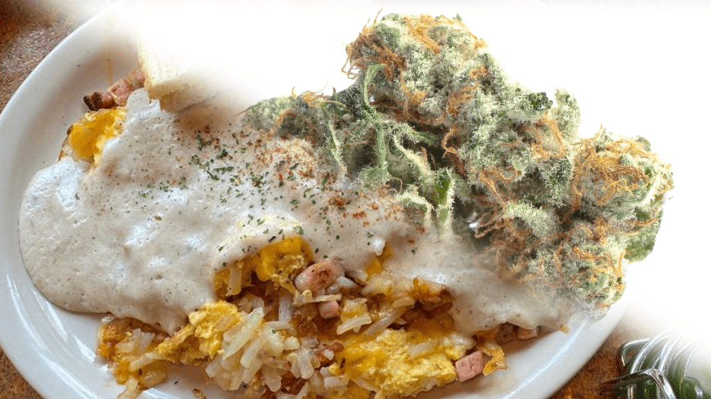 Satellite Diner Meal and Strain pairing