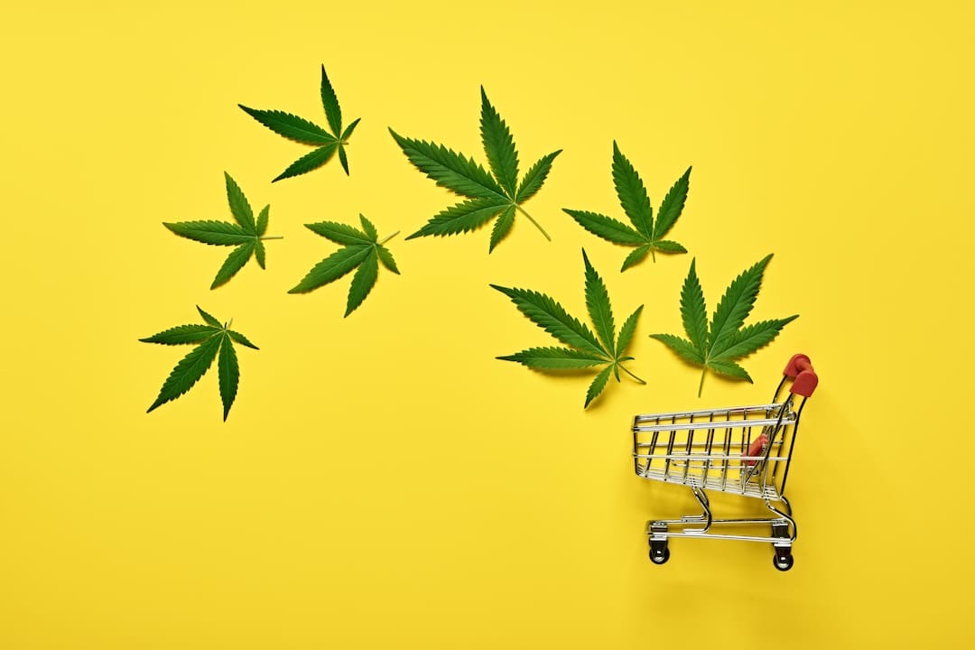 Shopping cart and weed cannabis marijuana leaves on a yellow backdrop