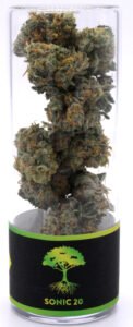 Sonic 20 Cannabis Strain from Blue Roots