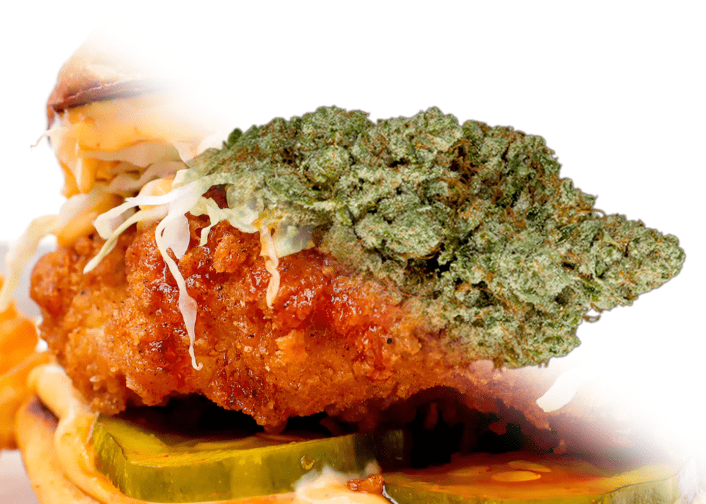 Steam Plant meal and strain