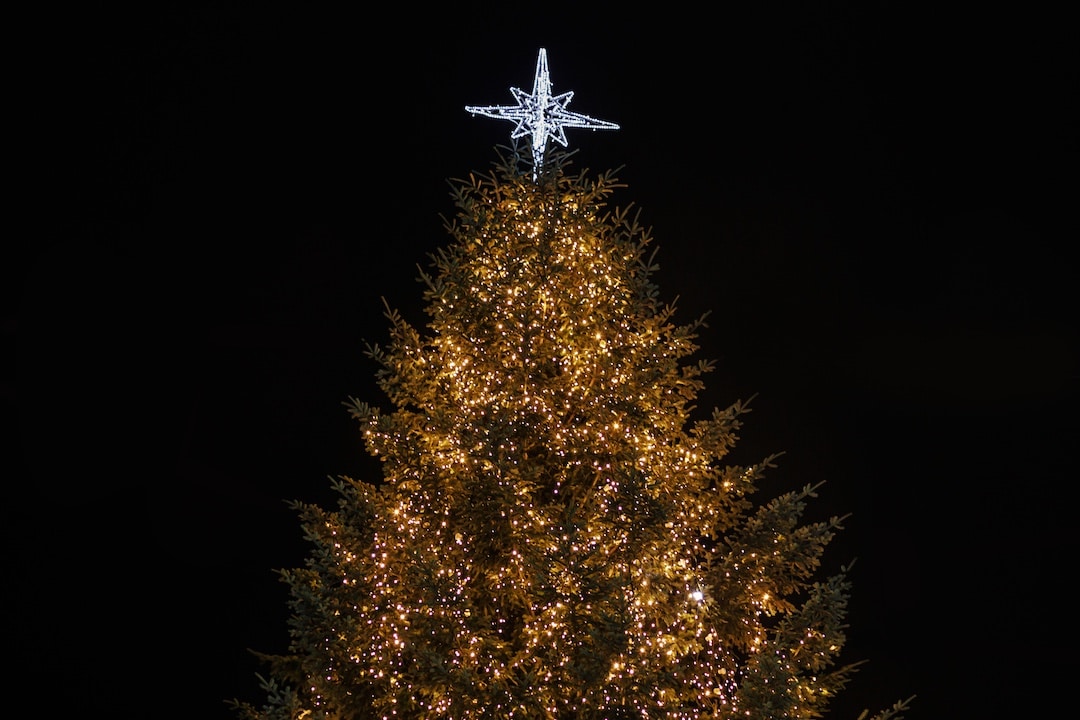 Christmas tree covered in lights
