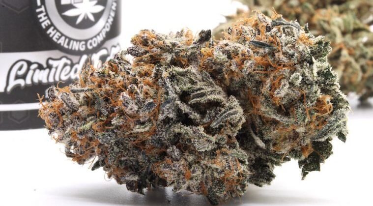 Texas Roughneck cannabis strain