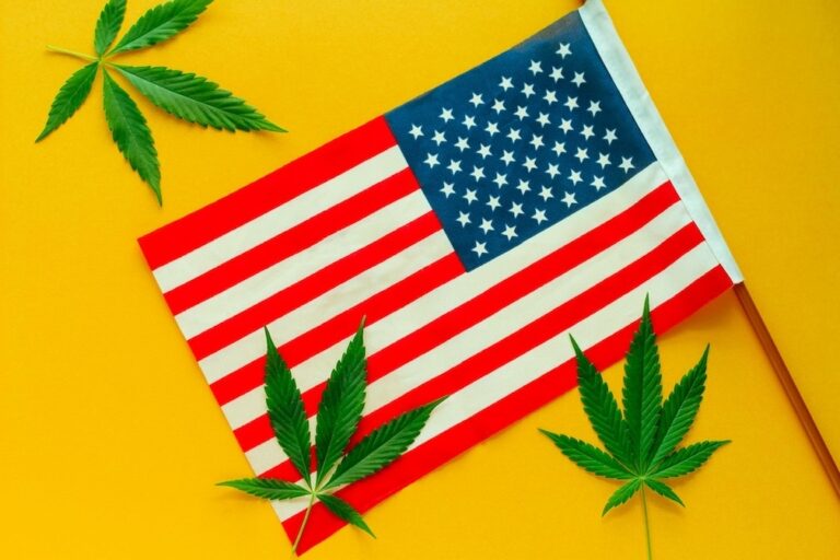 American flag and cannabis weed marijuana leaves on a yellow background