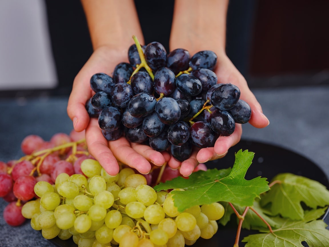 Hands holding out grapes