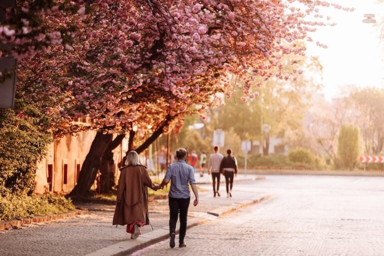 Couple walking along the street with a flowery pink tree to their left