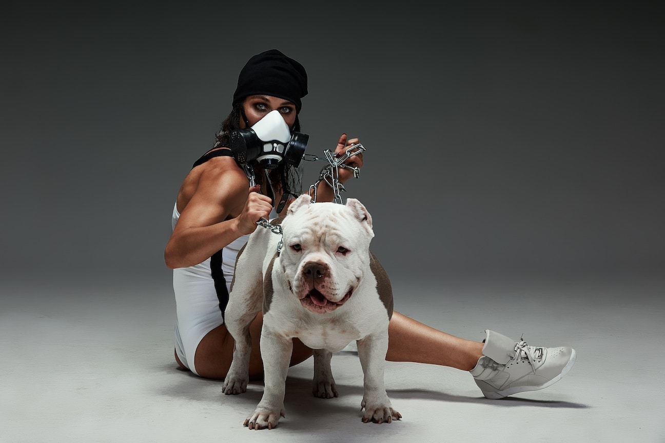 Young woman in protective mask hugs her dog american bully to represent the strain Chemdawg